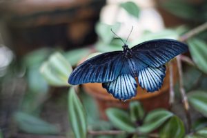 Summer Activities & Sustainability
